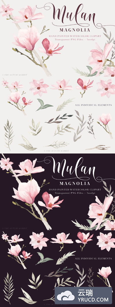 水彩玉兰花饰 Watercolor Magnolia Floral Clipart