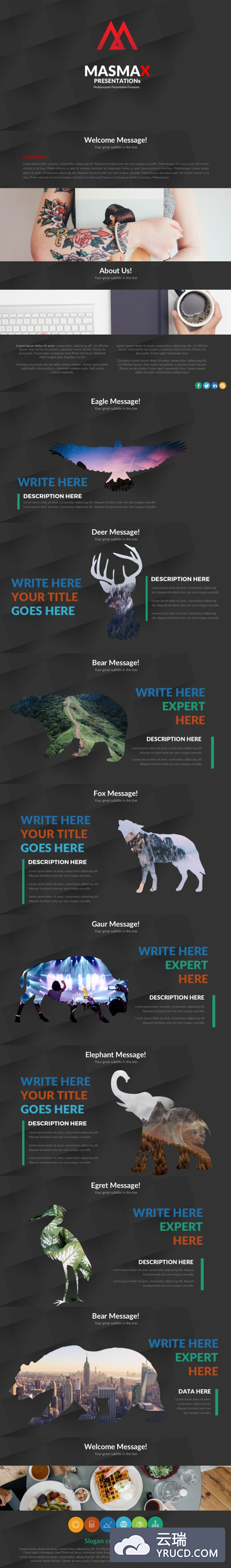 Masmax 野生动物轮廓创意PowerPoint模板