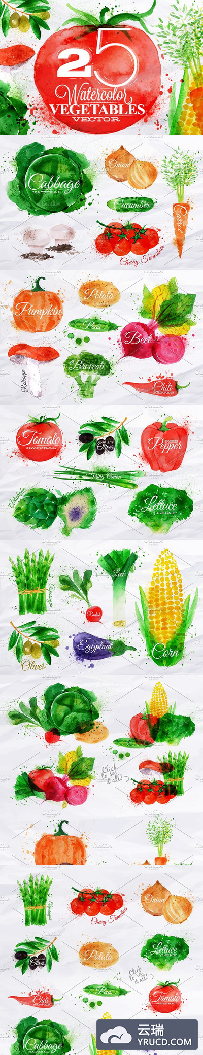 水彩绘制的蔬菜素材 Vegetables Watercolor