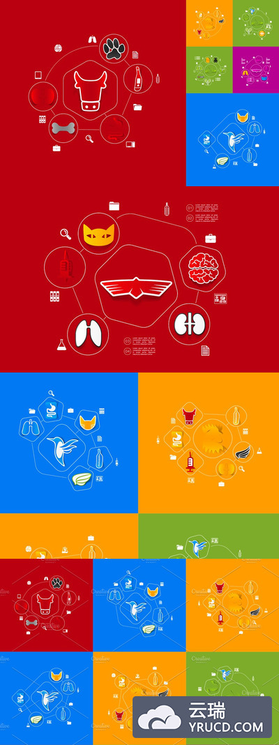 9幅兽医动物信息图表素材 9 VETERINARY sticker infographic