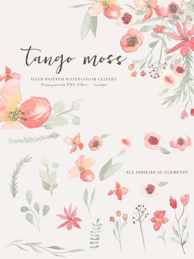 手绘的花卉树叶素材 Watercolor  Floral Clipart - Tango