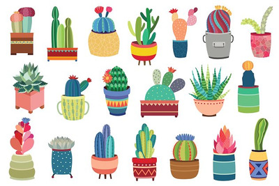 20个仙人掌小绿植素材包 20 Succulents & Cactus Vector / PNG