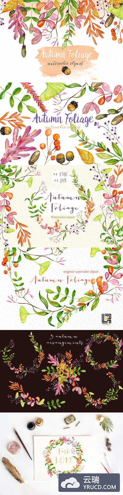 秋季花卉水彩素材包 Autumn foliage. Watercolor images.