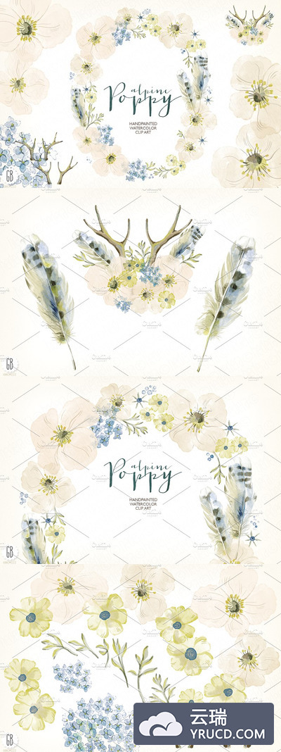 水彩画高山罂粟花环 Watercolor alpine poppy wreath