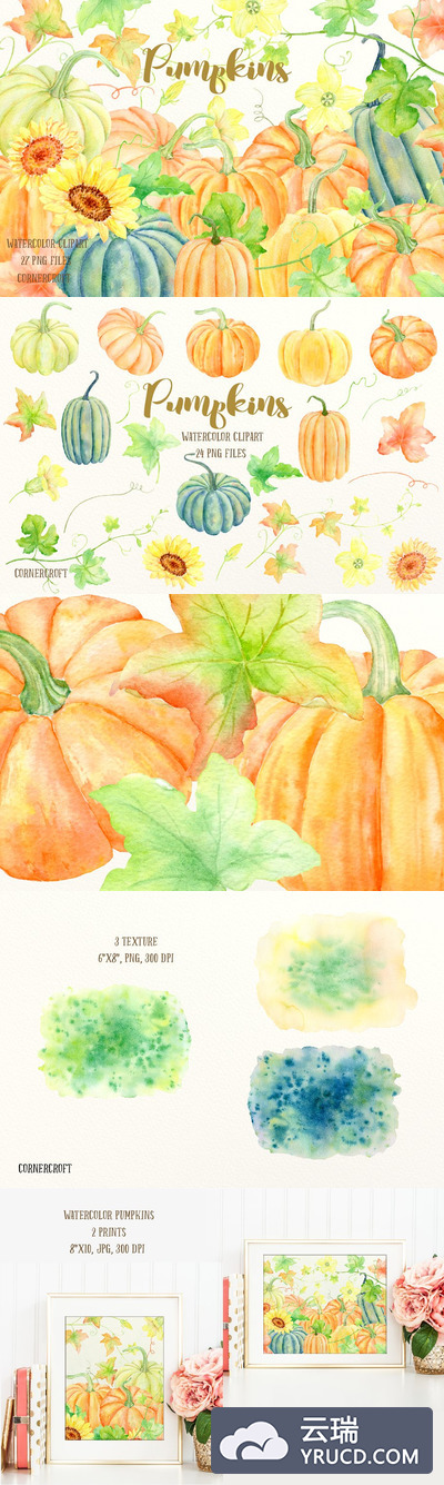 水彩南瓜素材 Watercolour Clipart Pumpkins
