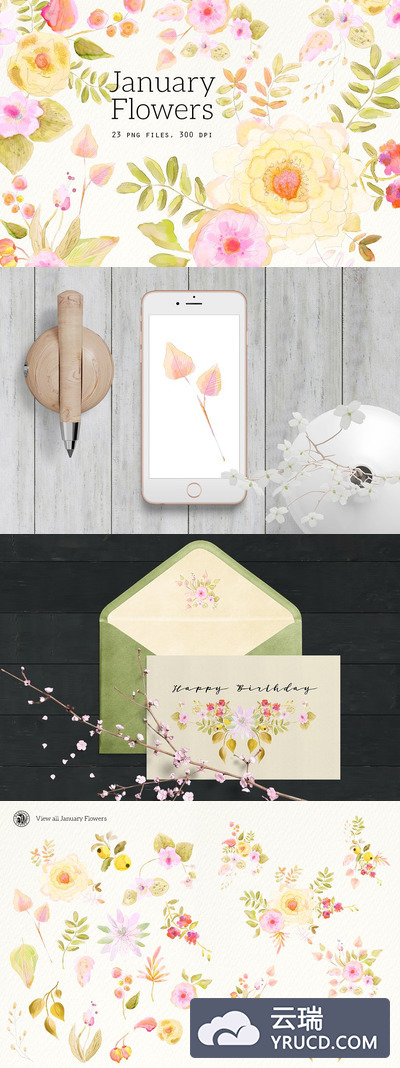 一月份必备的花卉素材 January Flowers