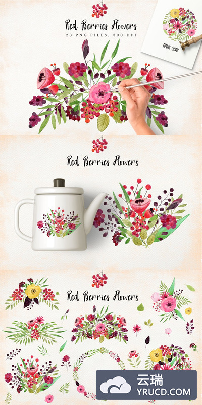 红浆果花素材 Red Berries Flowers