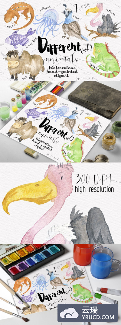 不同的水彩绘制动物素材第二版 Different Watercolor Animals Vol.2