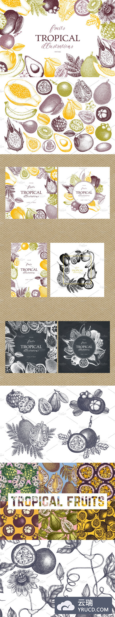 亚热带水果植物图形素材 Vector Exotic Fruits & Plans Set