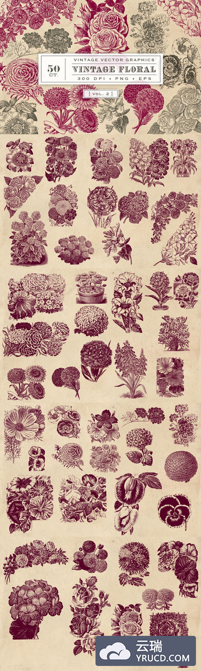 经典丰富复古的花卉素材包 Vintage Flower Vector Graphics 2