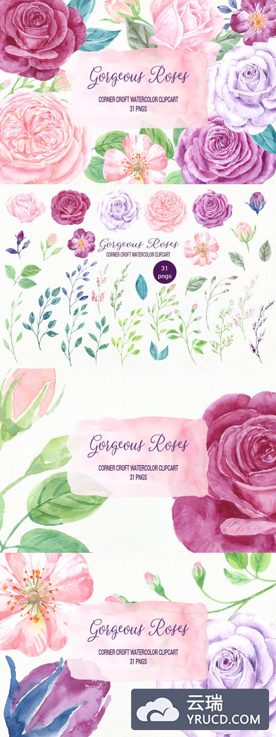 水彩玫瑰素材 Watercolor Gorgeous Roses