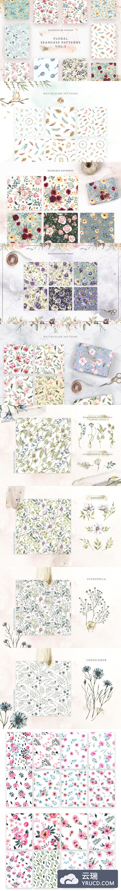 各种各样的花卉背景纹理素材 Floral Patterns Bundle Vol.2