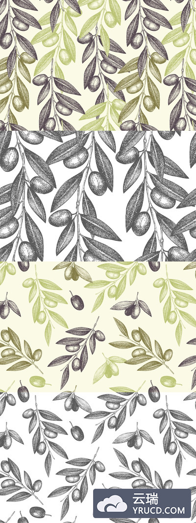 4个经典橄榄色图案 4 Vintage Olive Patterns