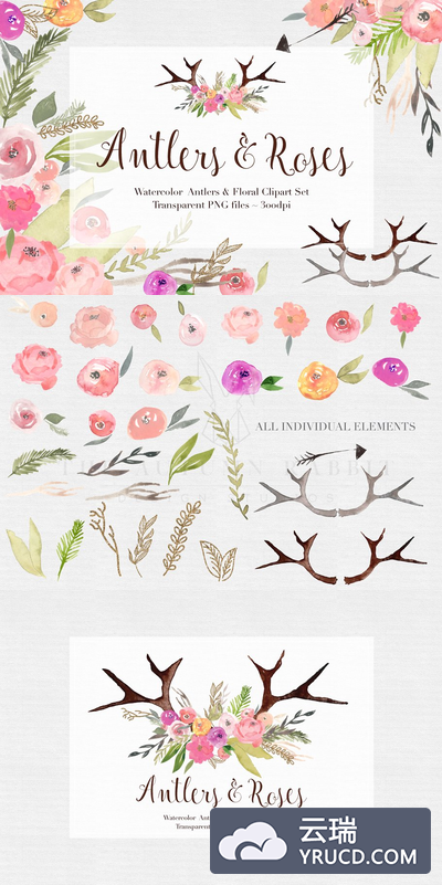 鹿角＆玫瑰水彩剪贴画 Antlers & Roses Watercolor Clipart