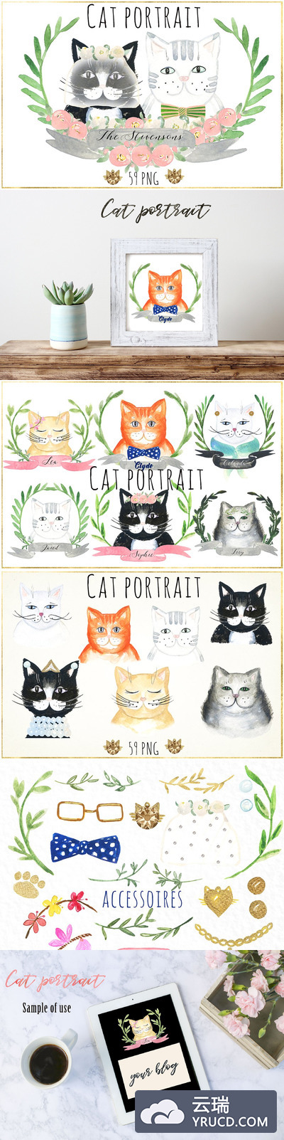 水彩画猫图形 Cat portrait creator. Watercolors.