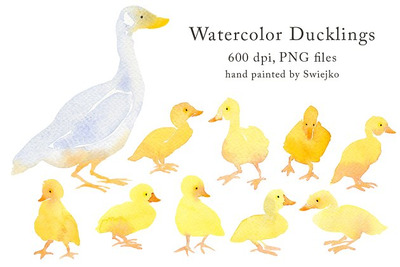 水彩画鸭子图形素材包 Country Clipart - Ducklings