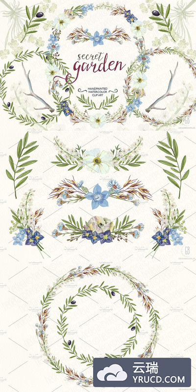 橄榄枝水彩画花环 Watercolor wildflowers wreaths olive