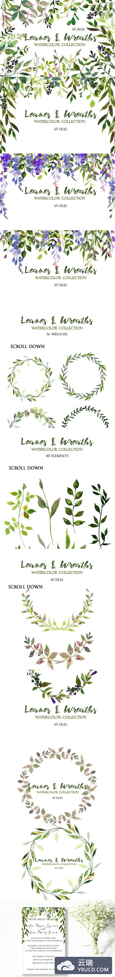 素材树叶 Leaves and Wreaths Watercolor Set