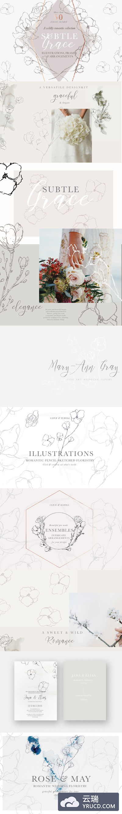 时尚的简笔花花卉图形素材 Fine Art Floral Illustrations