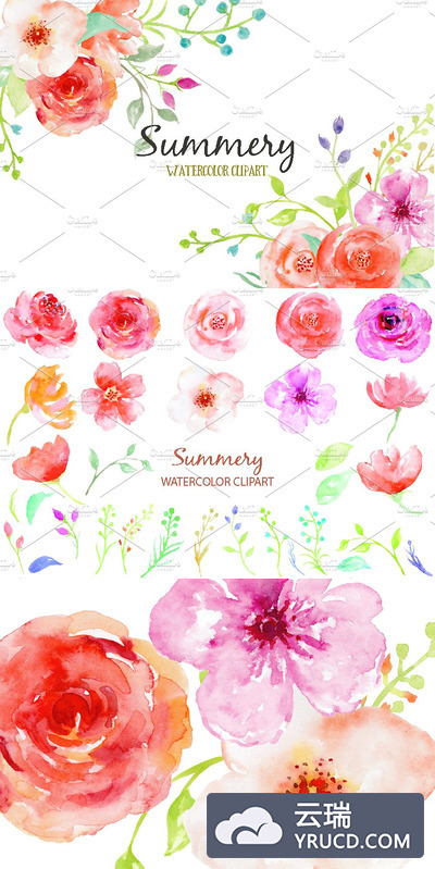 夏季水彩花卉素材 Watercolor Clipart Summery