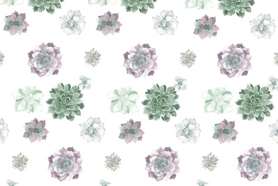 水彩多肉植物素材 Watercolor succulent pattern