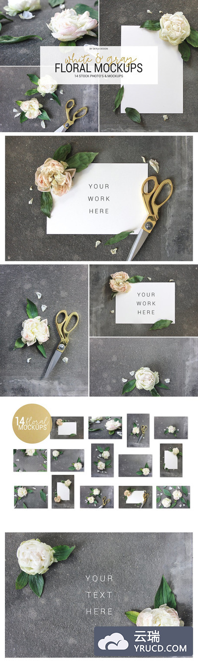 丰富的花卉卡片展示样机 Mockups & stock White & Gray floral
