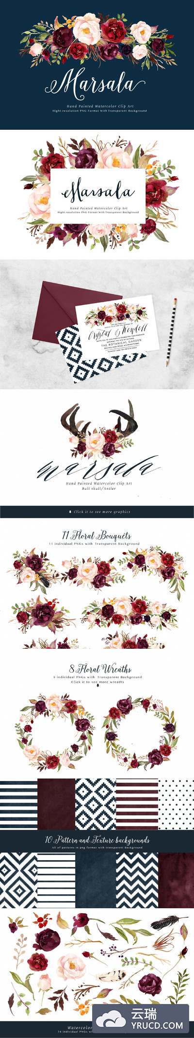 勃艮第花水彩画素材 Watercolor flower Clip Art-Marsala