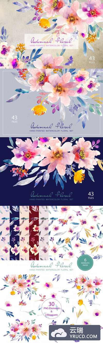 秋季花卉水彩素材 Autumnal Floral- Watercolor Clipart