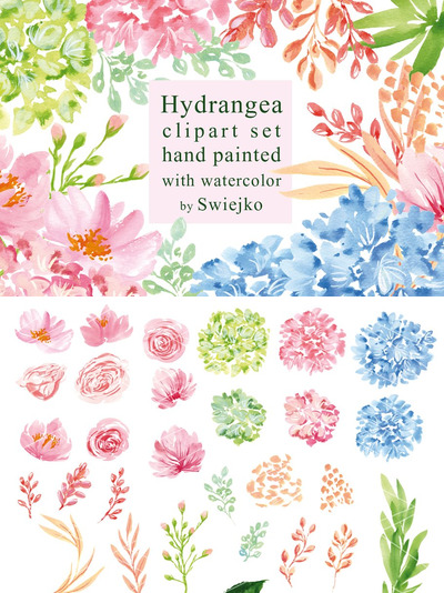 绣球花素材合集 Hydrangea clipart set