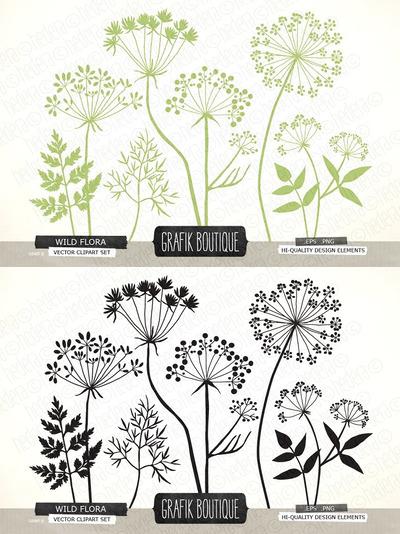 野草药花剪影矢量素材 Wild Herbs Flowers silhouette vector