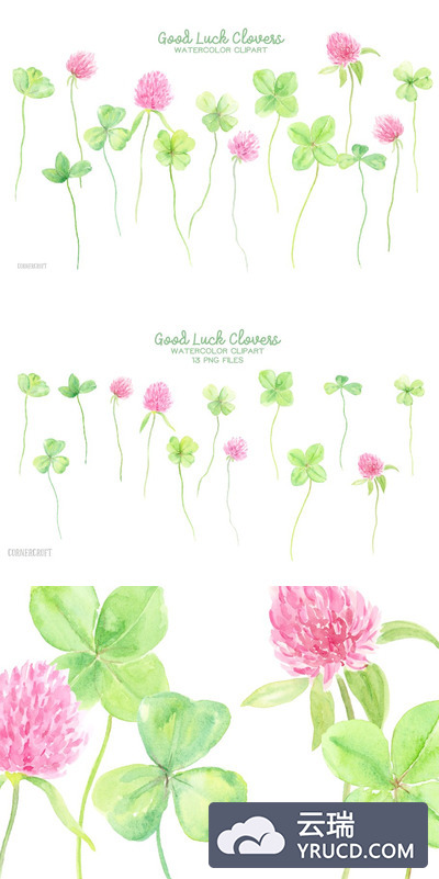 幸运草手绘水彩素材 Watercolor Clipart Good Luck Clovers