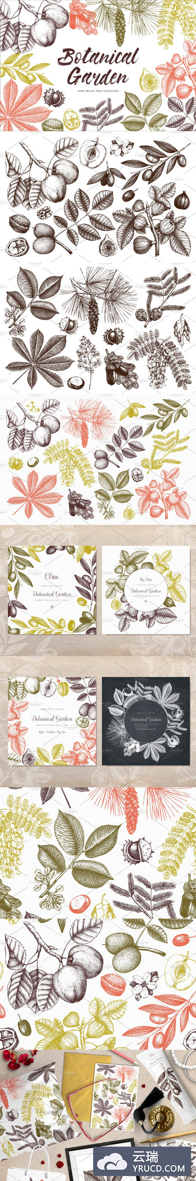 花园植物元素套装 10 Park & Garden Vector Trees Set