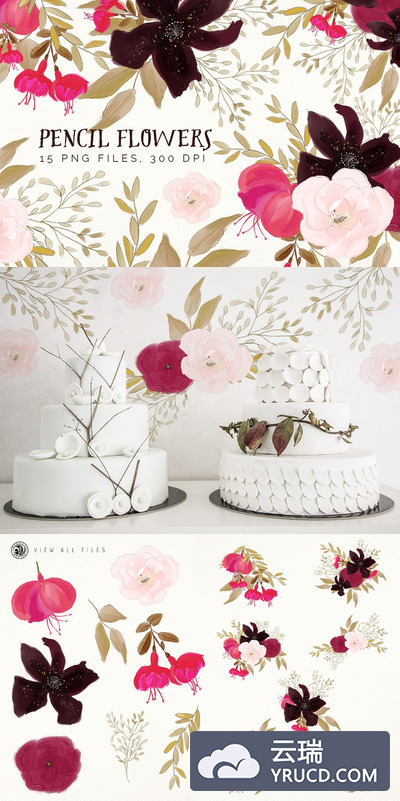 铅笔手绘花卉图形 Pencil Flowers