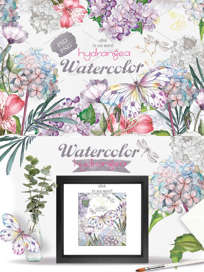 绣球花花卉素材 Hydrangea flowers