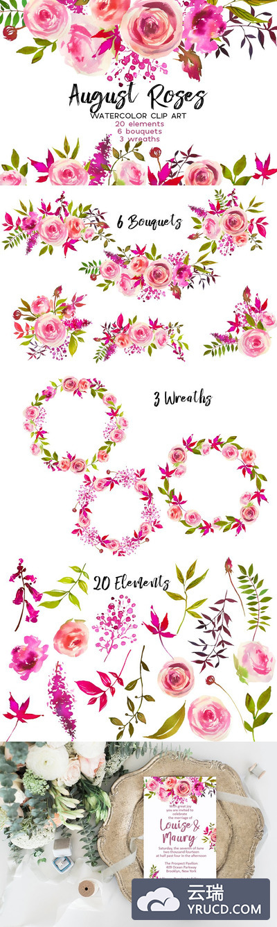 玫瑰水彩画素材合集 August Roses Watercolor Clip Art