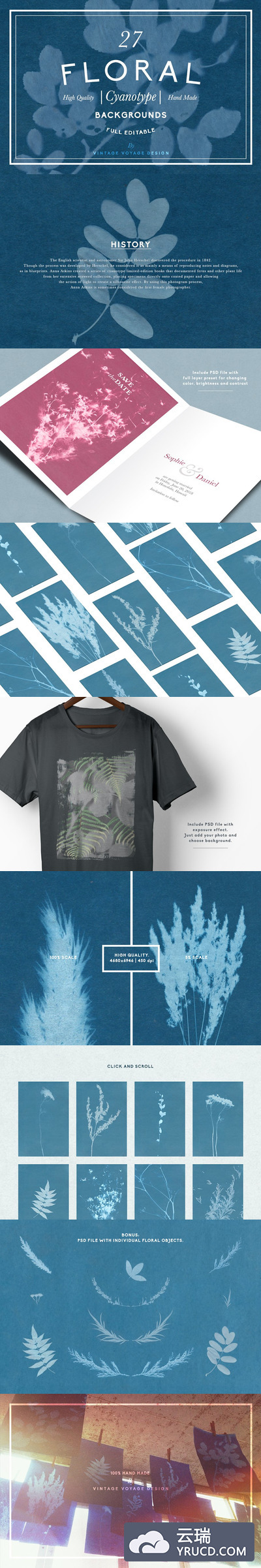 花卉背景纹理素材 FLORAL Cyanotype backgrounds