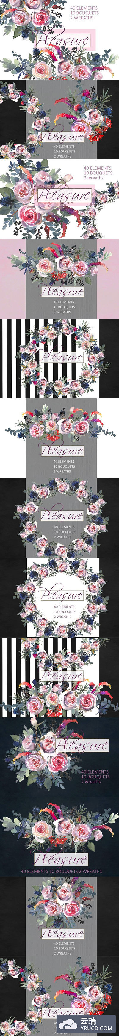 粉红玫瑰花卉素材 Pink Roses Blue Thistle Clipart