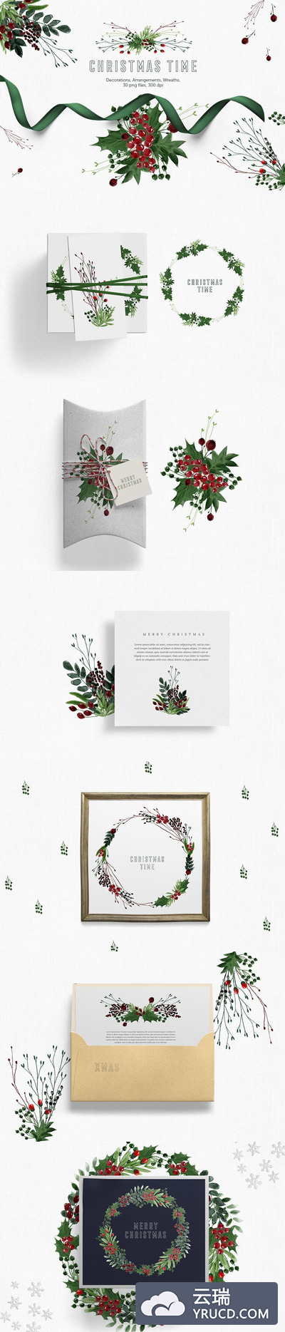 简约的圣诞手绘花卉 Christmas Time Collection