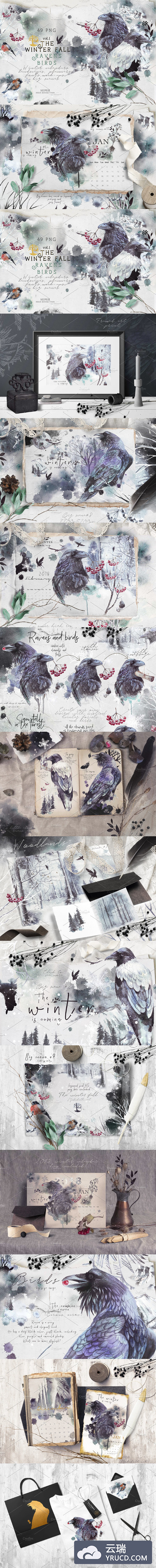 冬季乌鸦小鸟元素的水彩画素材 Ravens & birds vol.1