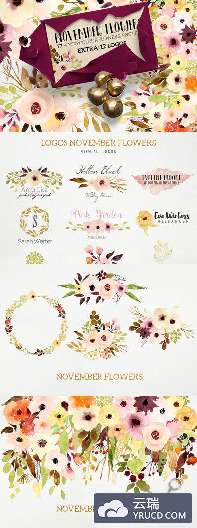 11月份的花卉素材 November Flowers