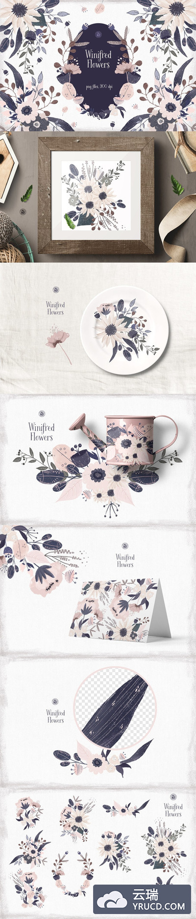 色彩漂亮的水彩花卉素材 Winifred Flowers