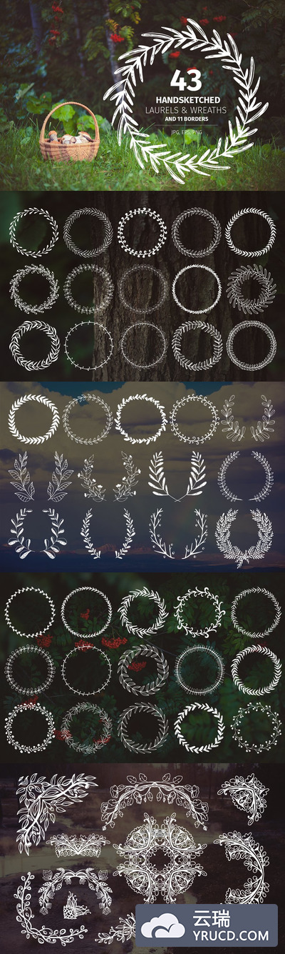 43个刻字的桂冠和花圈 43 Handsketched Laurels & Wreaths