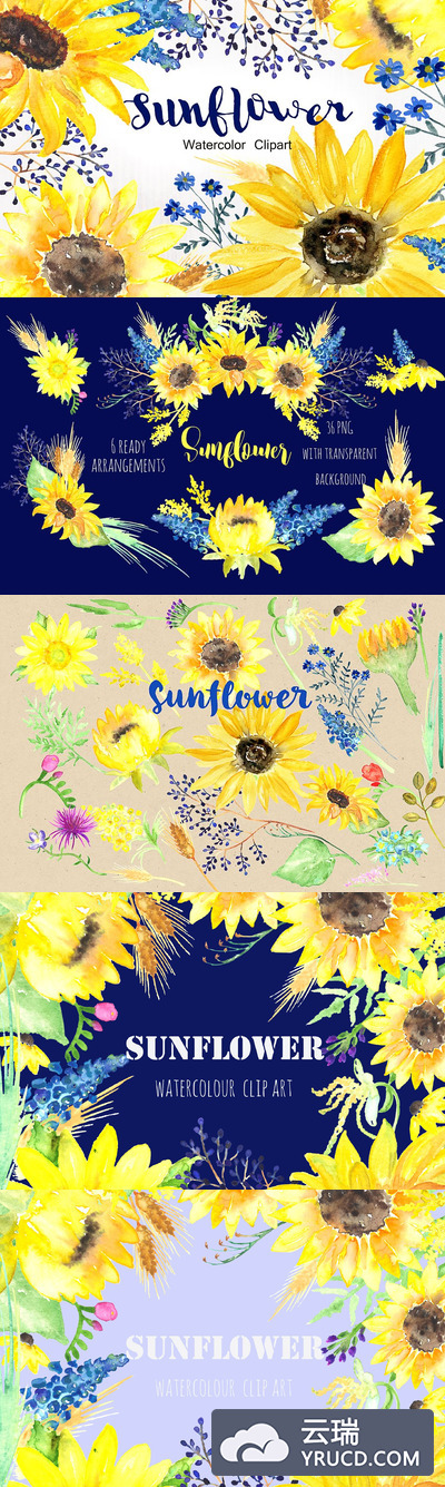 向日葵水彩画 Sunflower Watercolor Clipart