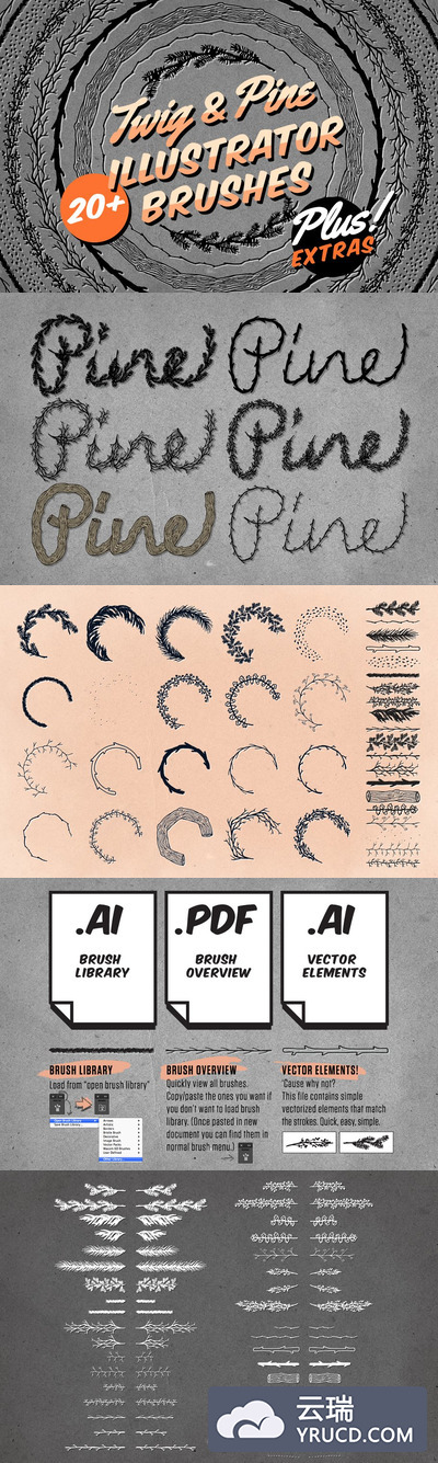 枝状和杉木图形的Ai画笔素材 Twig & Pine Illustrator Brushes