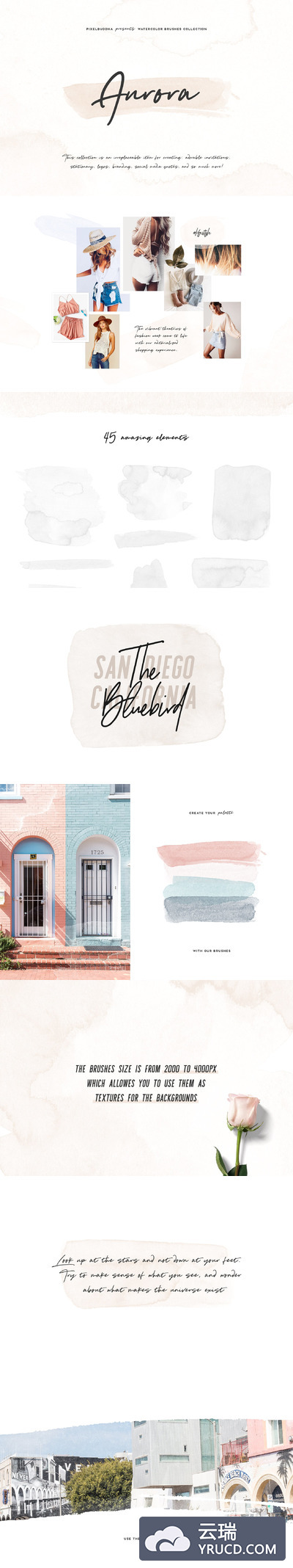 优雅的英文手写笔刷素材Aurora Brushes Collection