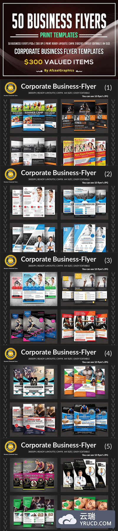 50个商业海报模板 50 Business Flyers Bundle