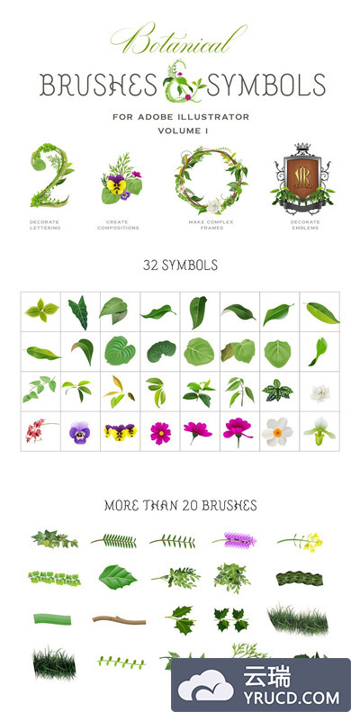 创意植物画笔笔刷 Botanical Brushes & Symbols