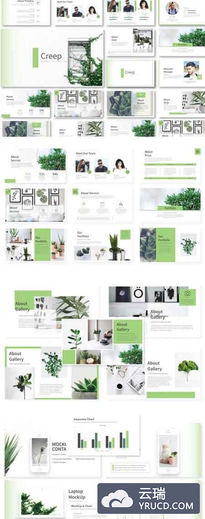 绿色植物主题演示模板