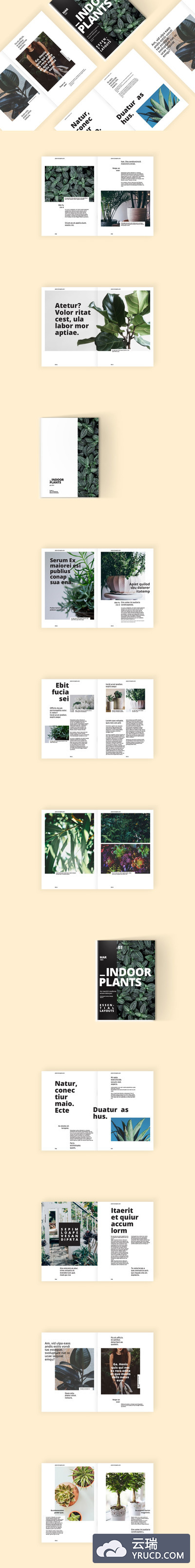 高端轻奢时尚杂志画册手册楼书设计模板