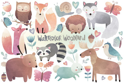 素材森林动物素材 Watercolor Woodland Animals Clipart